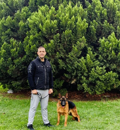 Profesyonel Köpek Eğitim ve Bakım Hizmeti